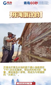 青岛开海倒计时