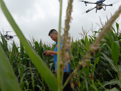 解决玉米中后期病虫害防治难题！无人机助阵“一防双减”