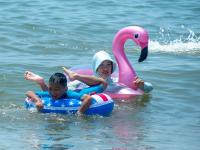 热！热！热！青岛浴场“下饺子”啦