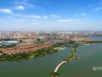 水域提升变美景打卡地！来上合示范区“绿色客厅”