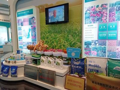 港口雄开万里流｜一棵小海藻发展成为一个大产业