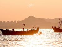 顾家岛渔港秋日实拍：镀金的海岸线，爱了