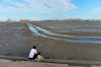 耕耘滩涂，为越冬候鸟储备美味“口粮”
