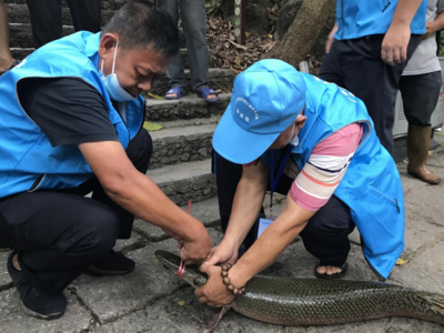多地报告发现！紧急提醒：千万别吃