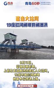 直击大沽河19座拦河闸坝开闸泄洪
