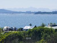 秋高气爽！岛城户外开满“帐篷花”