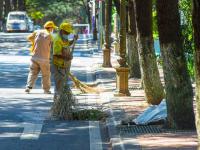 今日秋分丨恰是人间好时节，八大关进入最美落叶季