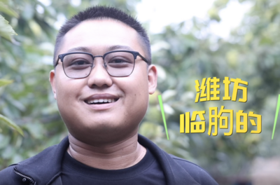 丰收见证①｜万亩板栗带来3000多万“真金白银”，全村忙得不亦乐乎