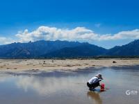 在如画的风景中赶海是什么体验？