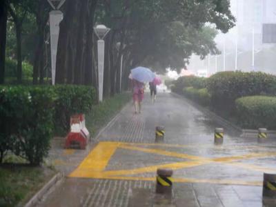台风“梅花”携风带雨而来！今明两天青岛有大到暴雨局部大暴雨，风力持续增大