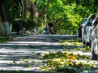 今日秋分丨恰是人间好时节，八大关进入最美落叶季