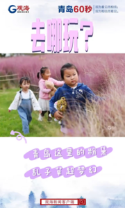 青岛这里的粉黛乱子草超梦幻！