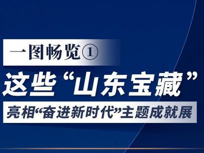 一图畅览①丨揭秘！这些“山东宝藏”亮相“奋进新时代”主题成就展