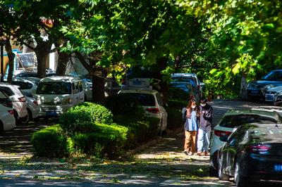 今日秋分丨恰是人间好时节，八大关进入最美落叶季