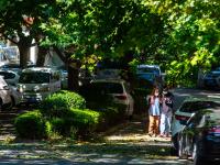 今日秋分丨恰是人间好时节，八大关进入最美落叶季