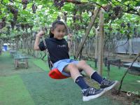 宫家村的葡萄熟了！快来实现“逛吃自由”