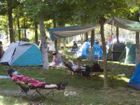 秋高气爽！岛城户外开满“帐篷花”