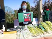 红苹果、绿芹菜、甜葡萄……“云逛”丰收节？戳这！