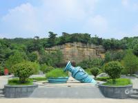 “一叶知秋”青岛版！实拍象耳山动人景色