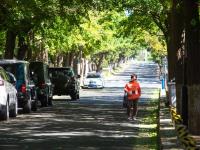 今日秋分丨恰是人间好时节，八大关进入最美落叶季