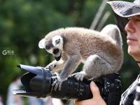 “宝藏萌宠”大集合！金秋到这里逛起来