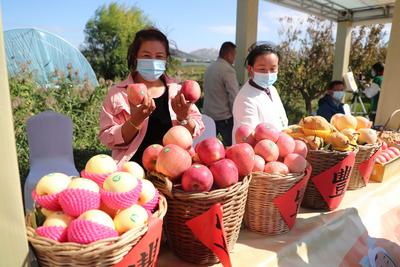 红苹果、绿芹菜、甜葡萄……“云逛”丰收节？戳这！