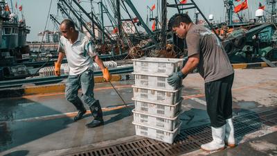 海鲜自由！鱼虾螃蟹“炫”起来