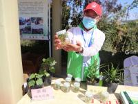 红苹果、绿芹菜、甜葡萄……“云逛”丰收节？戳这！