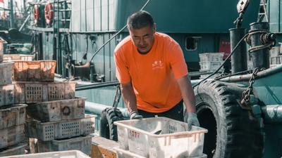 海鲜自由！鱼虾螃蟹“炫”起来