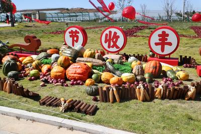 挑花眼！百余种“爆款”农品亮相丰收节