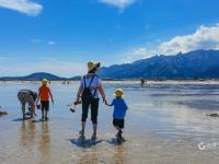 在如画的风景中赶海是什么体验？