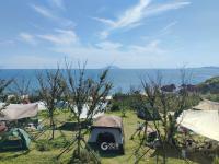 秋高气爽！岛城户外开满“帐篷花”