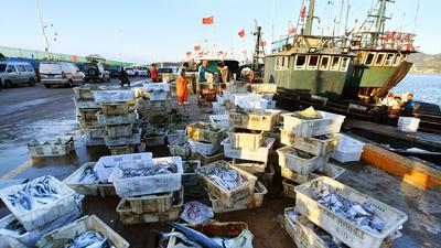 餐桌上的海鲜谁占C位？实拍渔港中秋盛况