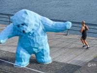 晨练、观景……奥帆中心成了户外健身NO.1