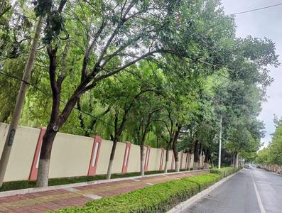 精准发力，乘势而上！城阳区城市管理发展中心硬招助力创建全国文明典范城市