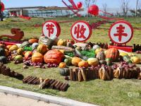 挑花眼！百余种“爆款”农品亮相丰收节