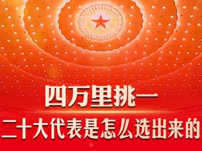 四万里挑一！二十大代表是怎么选出来的