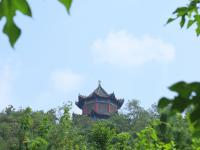 “一叶知秋”青岛版！实拍象耳山动人景色