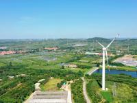 宝山镇的猕猴桃丰收啦！戳图抢先看