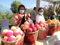 红苹果、绿芹菜、甜葡萄……“云逛”丰收节？戳这！