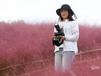 花语人间！这里的粉黛乱子草超梦幻