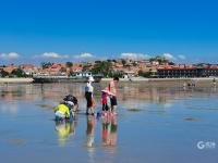 在如画的风景中赶海是什么体验？