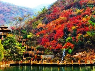 何必远方！文博会解锁山东最美乡村游