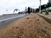 实拍：“梅花”带来千重浪，海边观景须谨慎