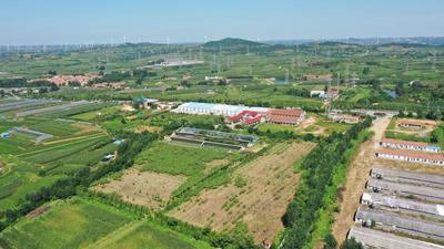 宝山镇的猕猴桃丰收啦！戳图抢先看