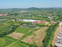 宝山镇的猕猴桃丰收啦！戳图抢先看