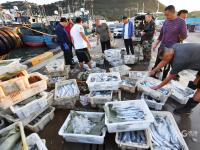 餐桌上的海鲜谁占C位？实拍渔港中秋盛况