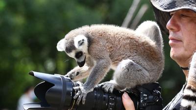 “宝藏萌宠”大集合！金秋到这里逛起来