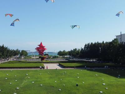 全省知识产权保护工作会议召开，青岛设分会场收听收看