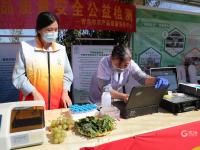 挑花眼！百余种“爆款”农品亮相丰收节